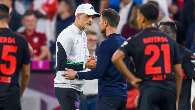 1694859206586075270.jpeg 1694859206586075270.jpeg